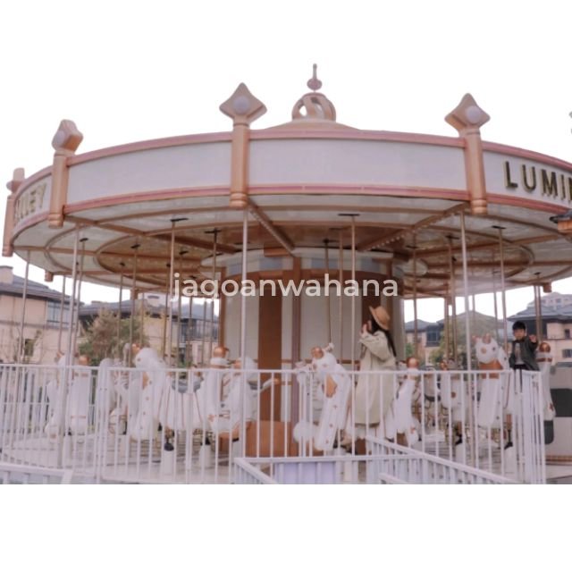 24p Musical Carousel