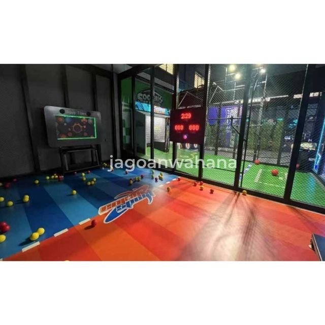 Interactive Ball Game