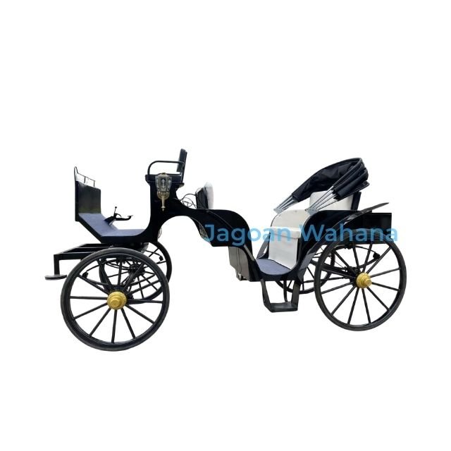 Black Classic Carriage with Adjustable Canopy