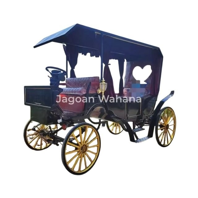 Black Classic Carriage with Canopy 1