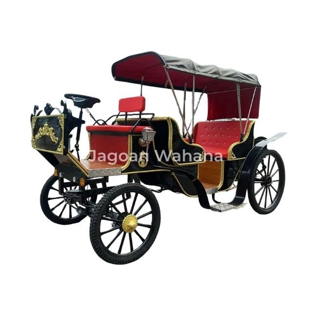 Black Classic Carriage with Canopy 2