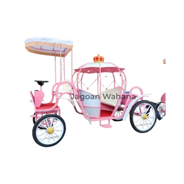 Pink Pumpkin Carriage with Canopy 3