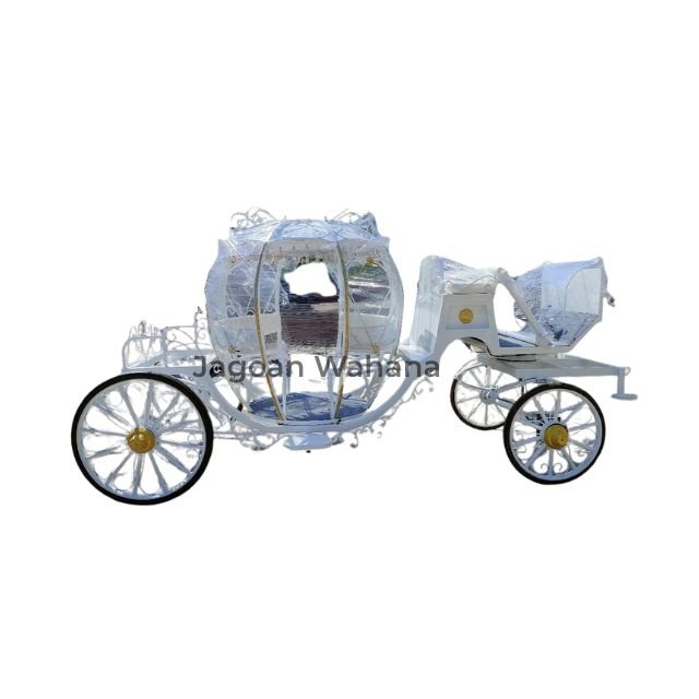 White Pumpkin Carriage 4
