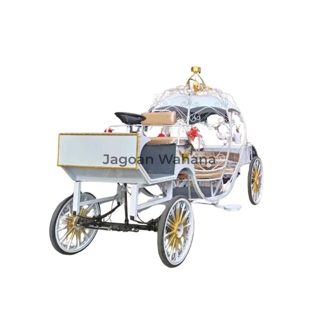 White Pumpkin Carriage 5