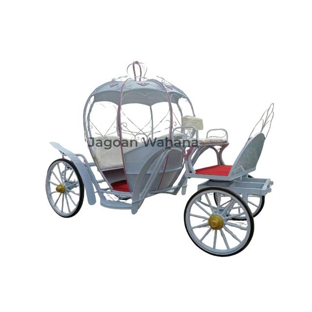 White Pumpkin Carriage 6