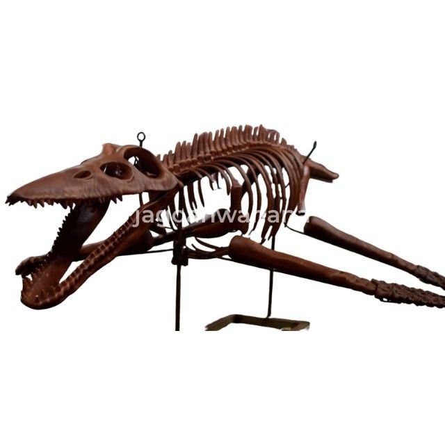 Liopleurodon Fossil