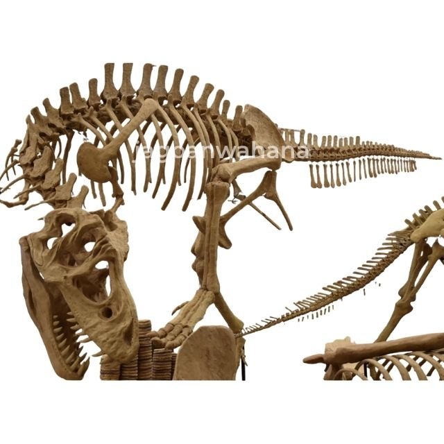 Tyrannosaurus Rex Fossil