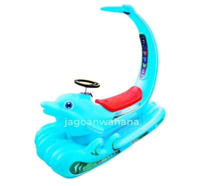 Ocean Adventure Dolphin 2