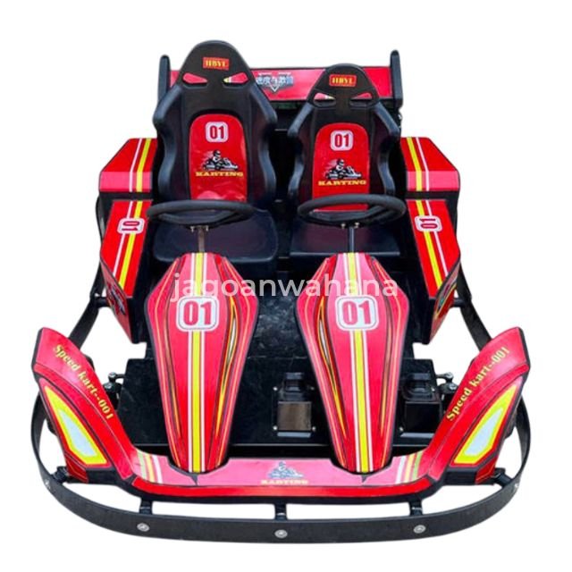 Double Go Kart