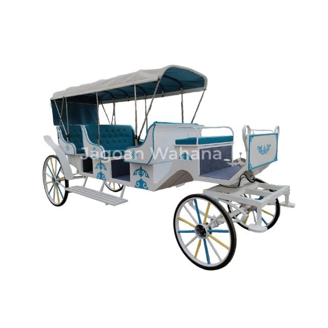 Long Blue Classic Carriage with Canopy