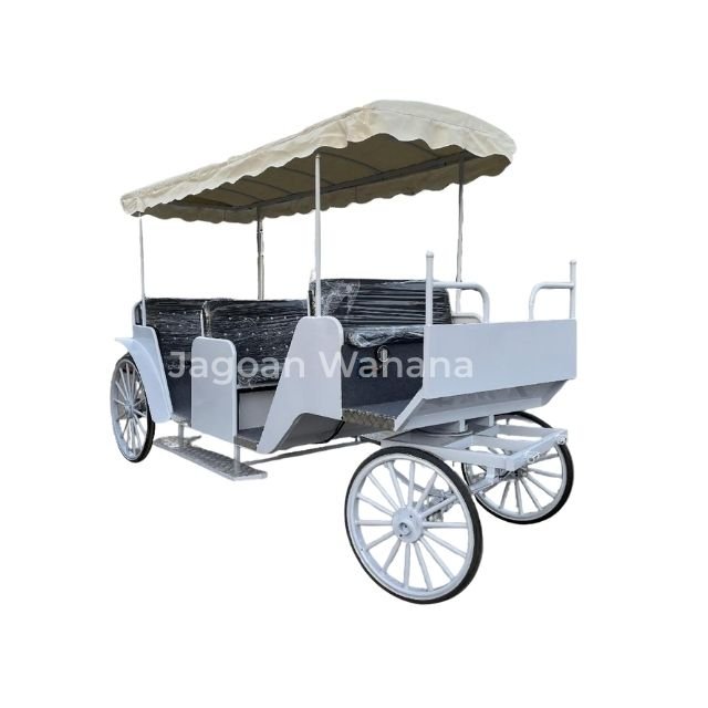 Long Classic Carriage with Canopy 3