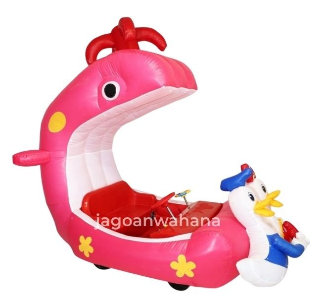 Ocean Adventure Whale