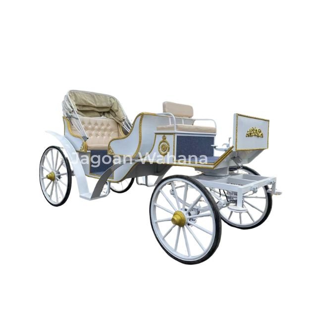 White Classic Carriage with Adjustable Canopy 2