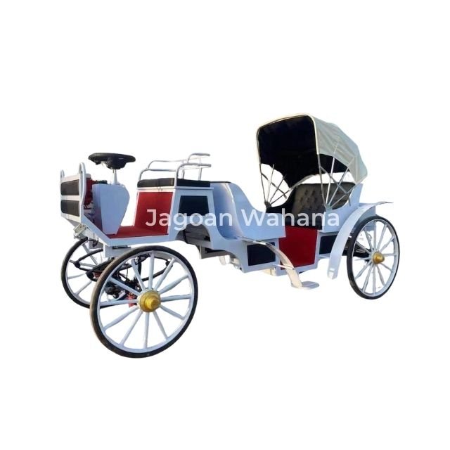 White Classic Carriage with Adjustable Canopy 4