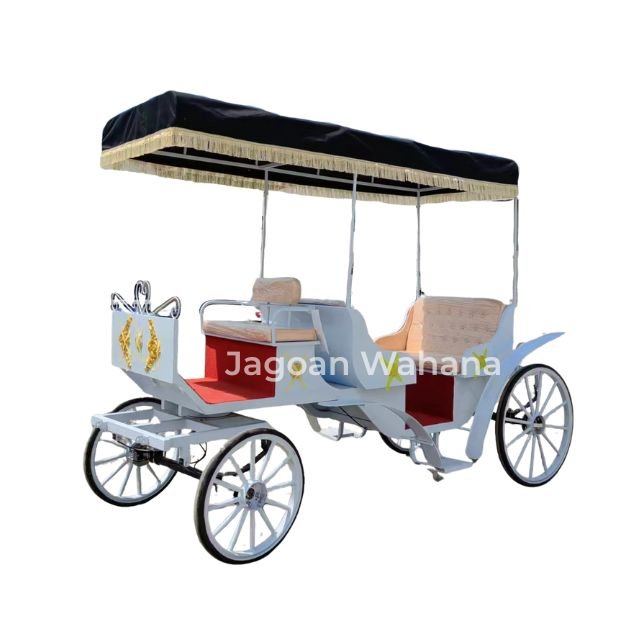 White Classic Carriage with Canopy 1