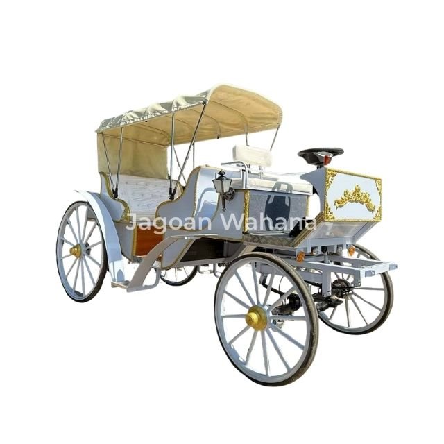 White Classic Carriage with Canopy 2