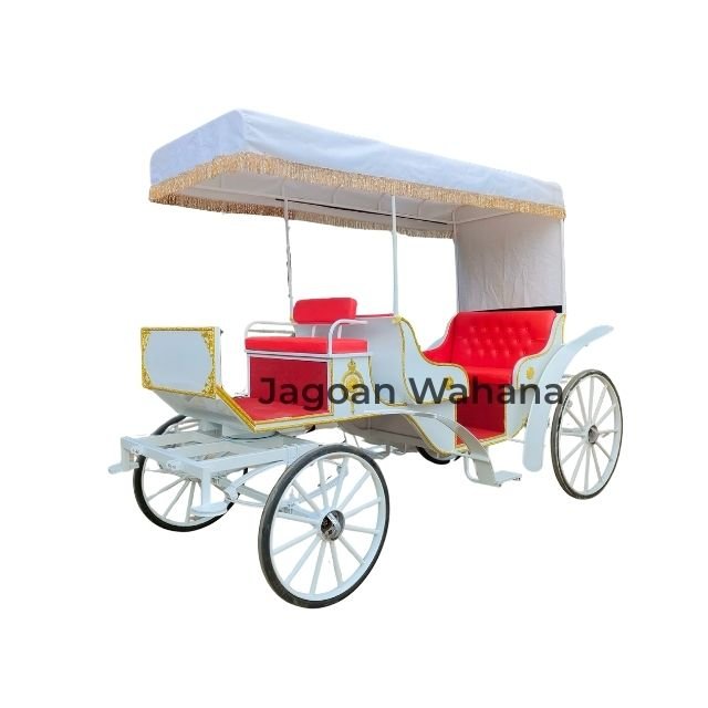 White Classic Carriage with Canopy 5